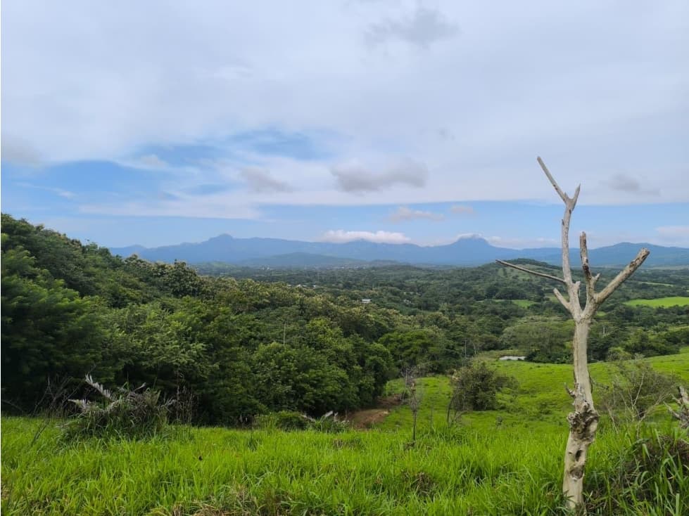 Se Vende 1 Hectarea en Cermeño — foto 1