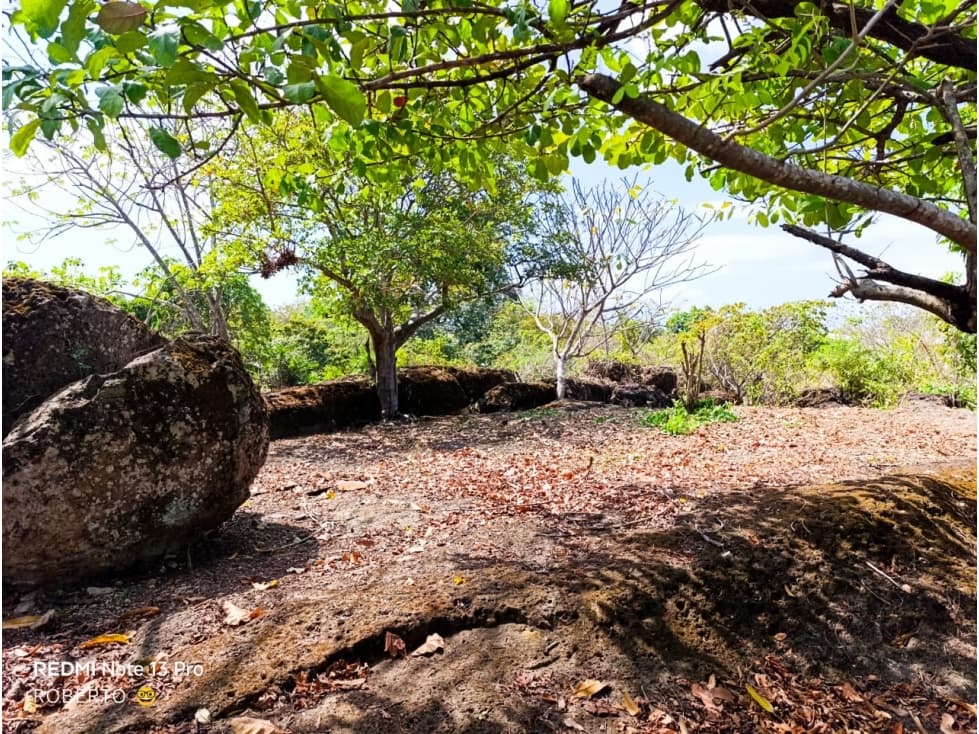 Venta de terreno en Nueva Gorgona, Chame — foto 1
