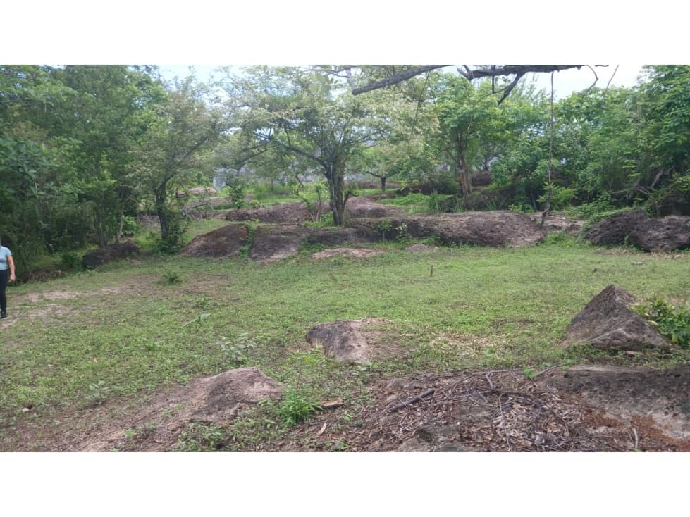 Venta de terreno en Nueva Gorgona, Chame — foto 3