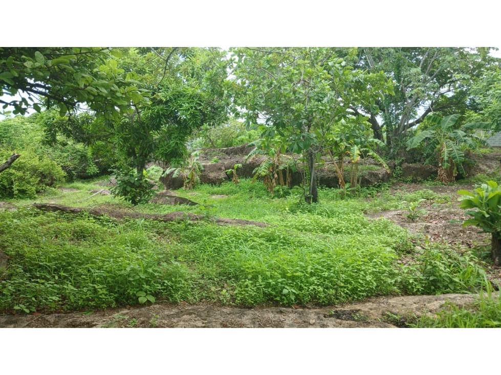 Venta de terreno en Nueva Gorgona, Chame — foto 5