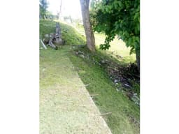 Lotes de Terreno en venta Residencial El Bosque, San Miguelito