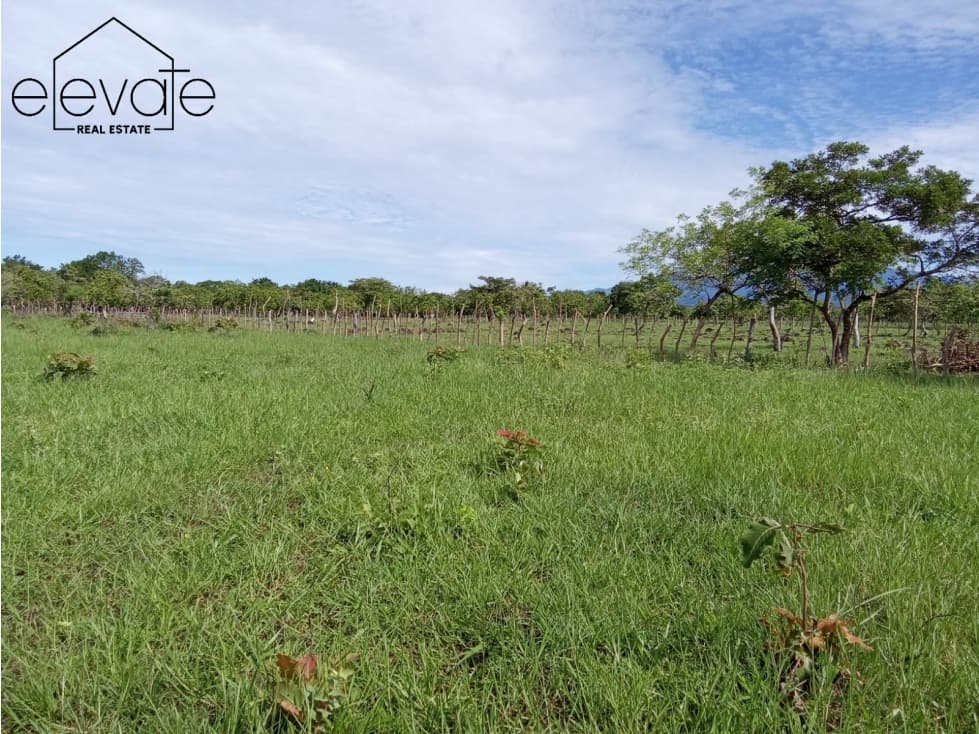 FINCA EN DAVID CHIRIQUI — foto 1