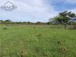 FINCA EN DAVID CHIRIQUI