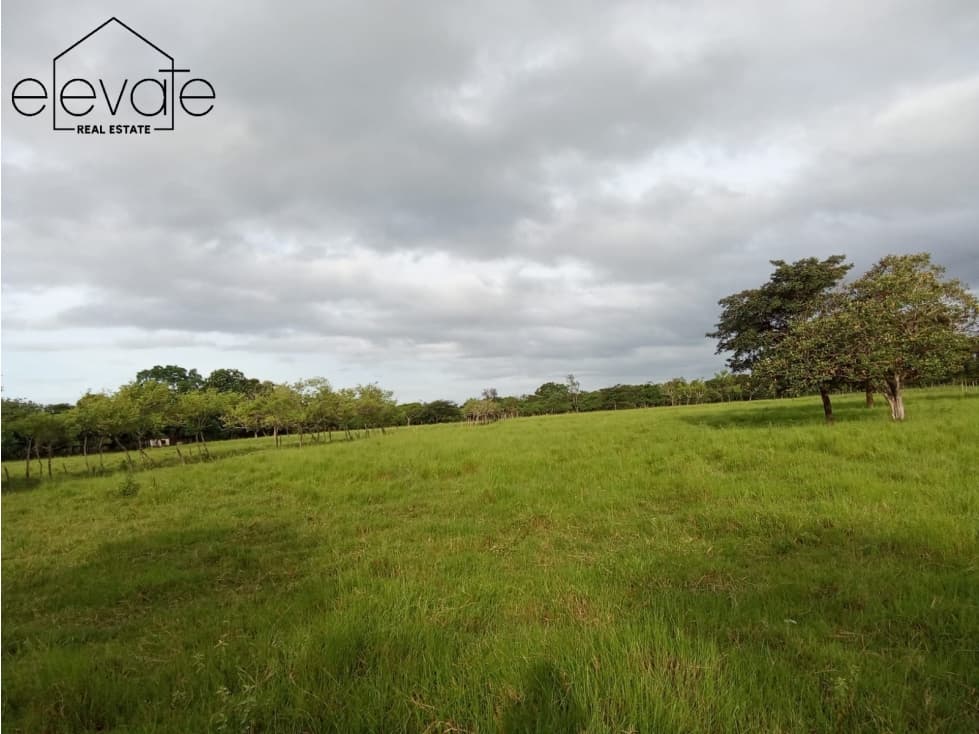 FINCA EN DAVID CHIRIQUI — foto 2