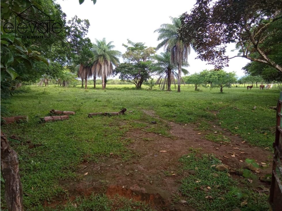 FINCA EN DAVID CHIRIQUI — foto 3