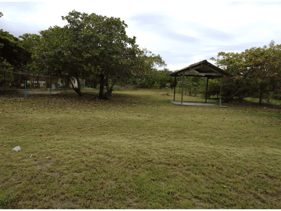 Se Vende Terreno de 1000m2 en Gorgona — foto 1