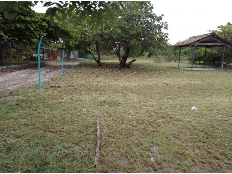 Se Vende Terreno de 1000m2 en Gorgona — foto 3