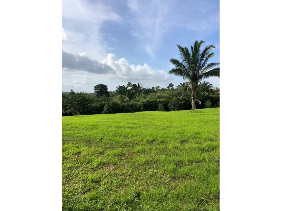 SE VENDE TERRENO DE 23,000 MT2 (PD) — foto 5