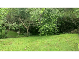 Lote en Coronado (CP)