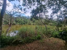 Terreno en la Laguna de San Carlos (CP)