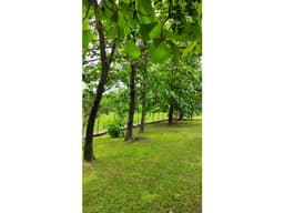 Lote en venta en Santa Fe de Las Lajas Chame, Panamá Oeste