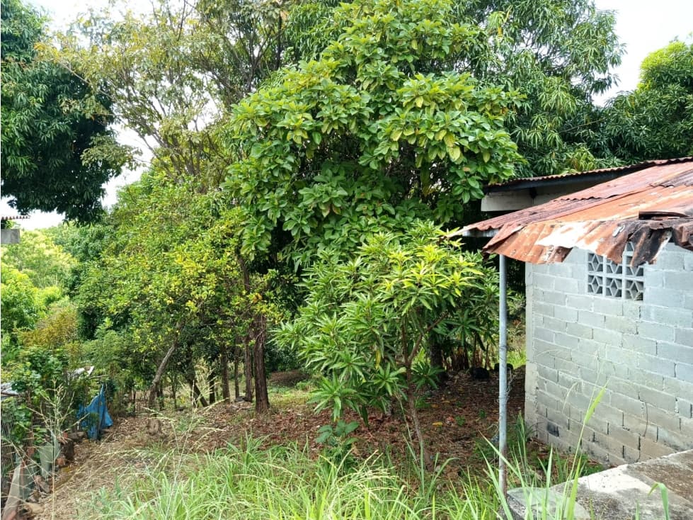 Terreno en venta en El Copecito, El Espino San Carlos — foto 5