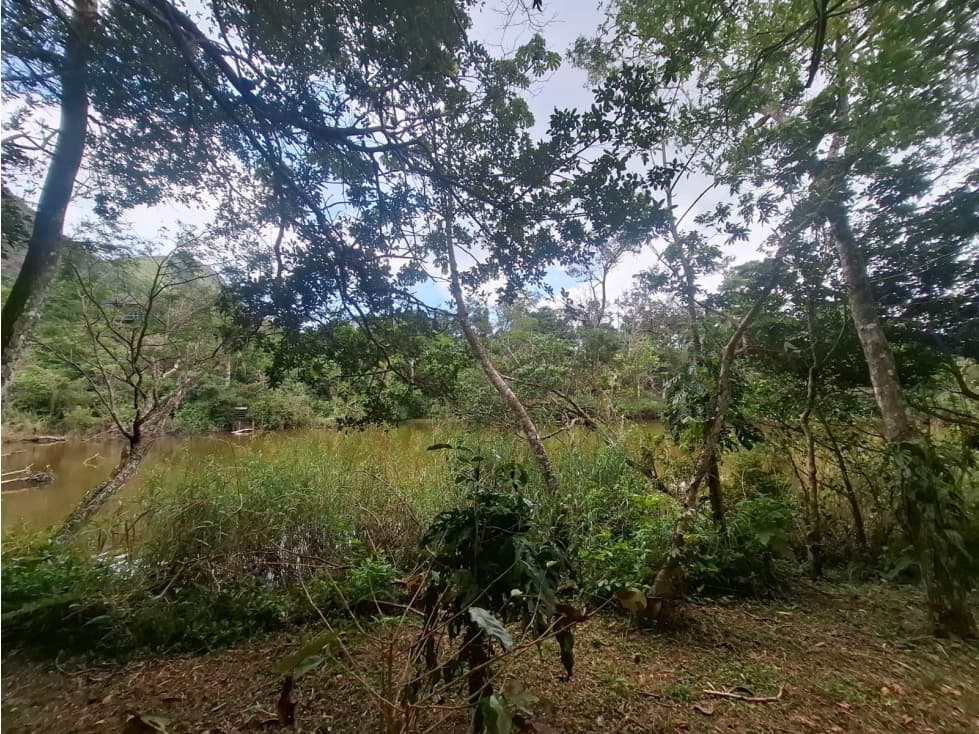 Terreno en la Laguna de San Carlos (CP) — foto 2