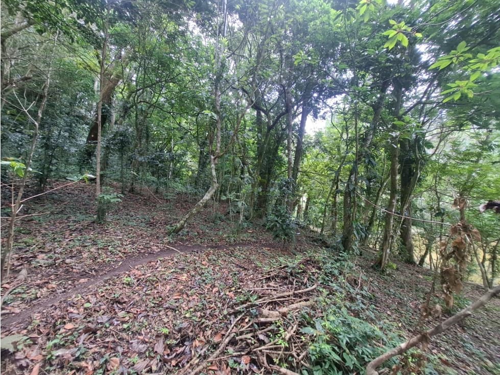 Terreno en la Laguna de San Carlos (CP) — foto 5