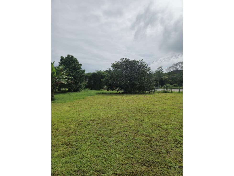 VENTA DE CASA CON FINCA EN CAMPANA — foto 5