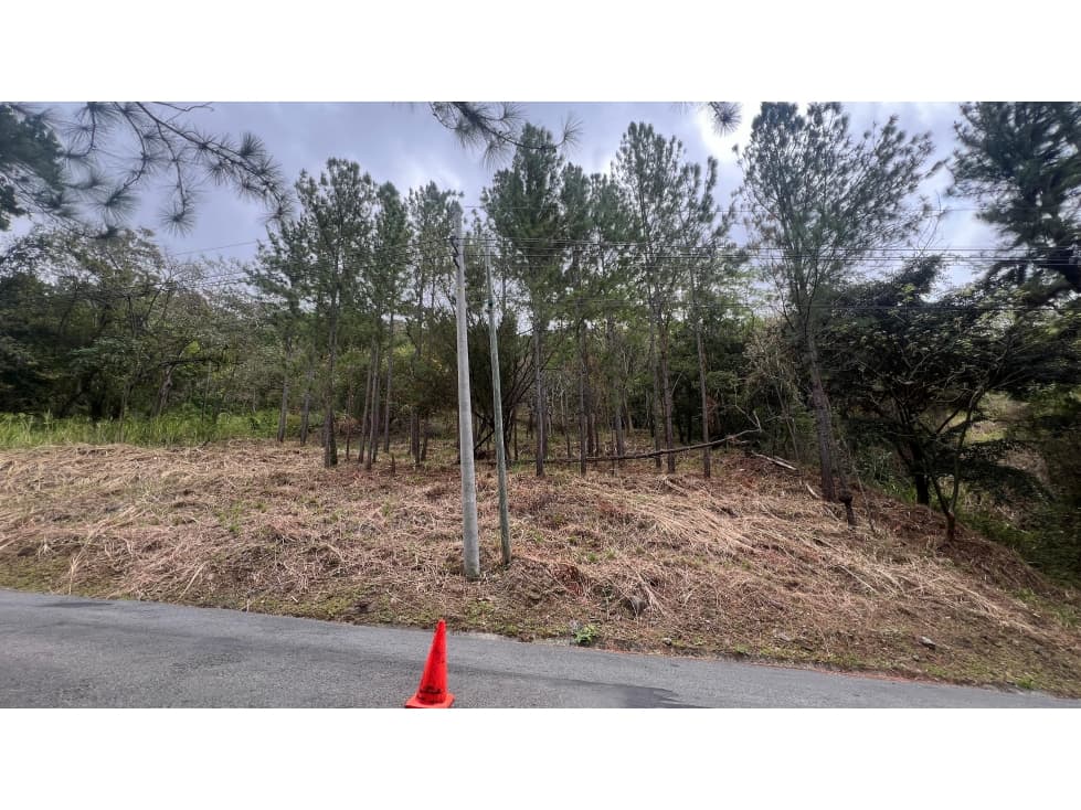 Venta de Terreno en Altos del Maria — foto 1