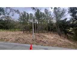 Venta de Terreno en Altos del Maria
