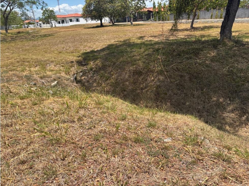 Venta de 2 terrenos en Palmeras del Este, Coronado — foto 1