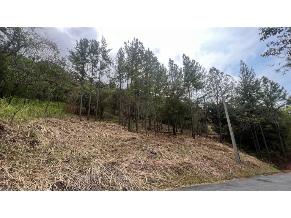 Venta de Terreno en Altos del Maria — foto 2