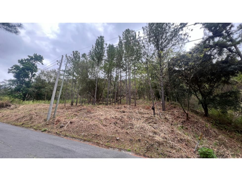 Venta de Terreno en Altos del Maria — foto 5