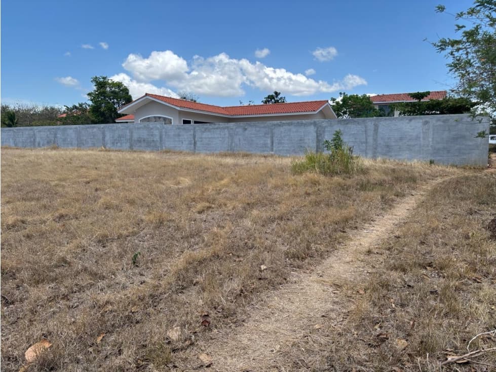 Venta de 2 terrenos en Palmeras del Este, Coronado — foto 6