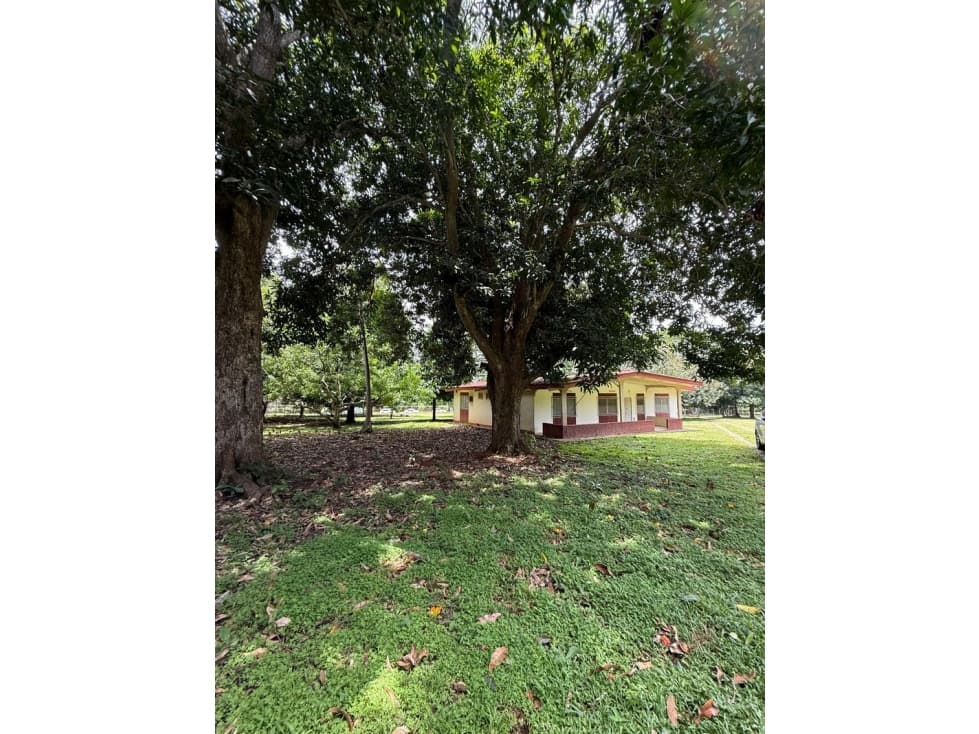 Venta de 2 lotes en Nueva Gorgona A 60 m de la playa — foto 1
