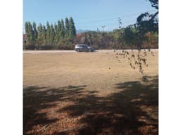 Venta de terreno en coronado , Club Ecuestre