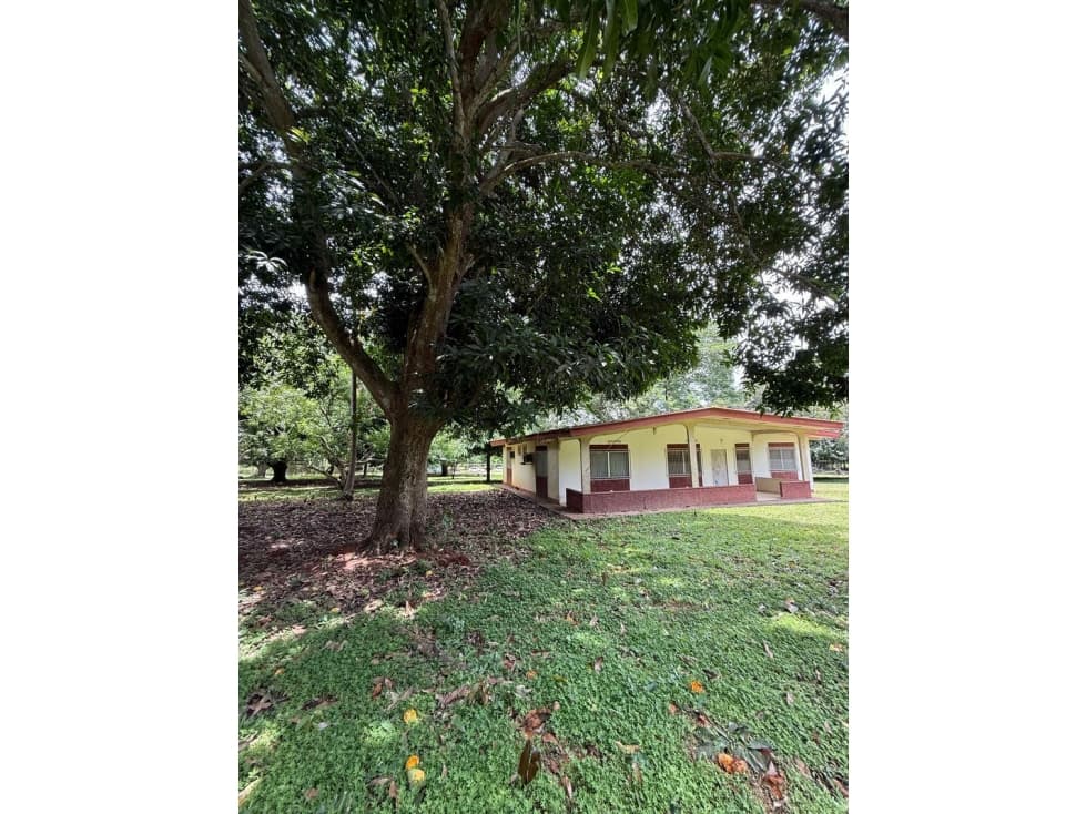 Venta de 2 lotes en Nueva Gorgona A 60 m de la playa — foto 2