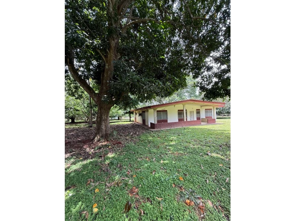 Venta de 2 lotes en Nueva Gorgona A 60 m de la playa — foto 3