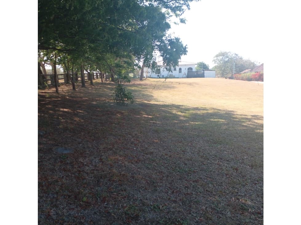 Venta de terreno en coronado , Club Ecuestre — foto 3