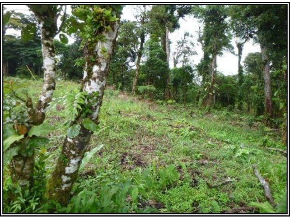 Venta de lote en La Rioca Altos del María — foto 3
