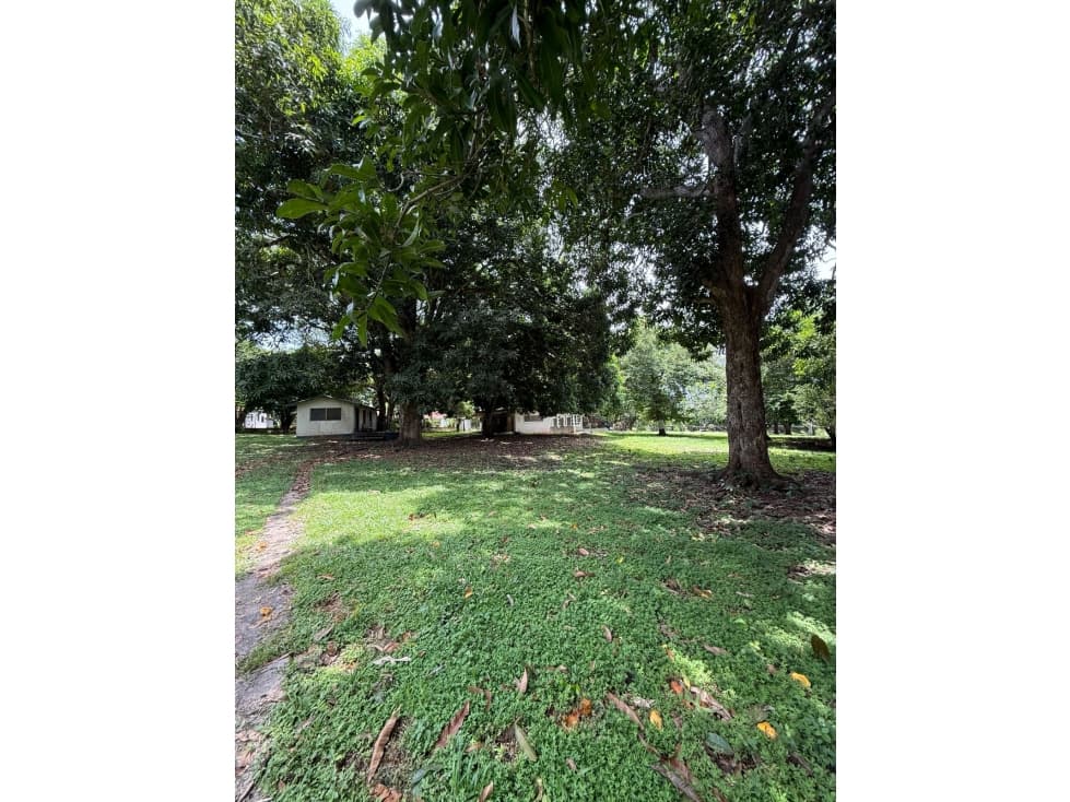 Venta de 2 lotes en Nueva Gorgona A 60 m de la playa — foto 5