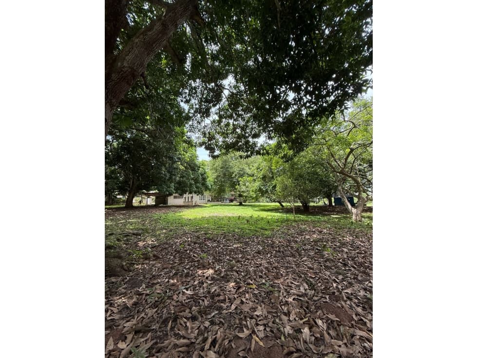 Venta de 2 lotes en Nueva Gorgona A 60 m de la playa — foto 6