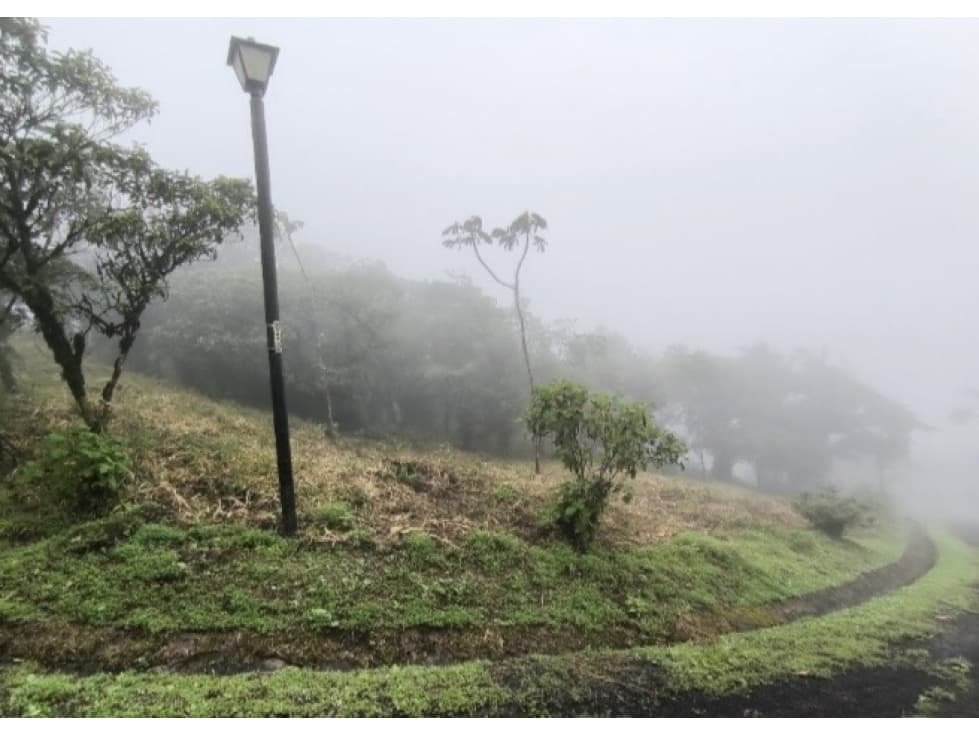 Lote en venta en Bosques de Galicia, Altos de María — foto 2