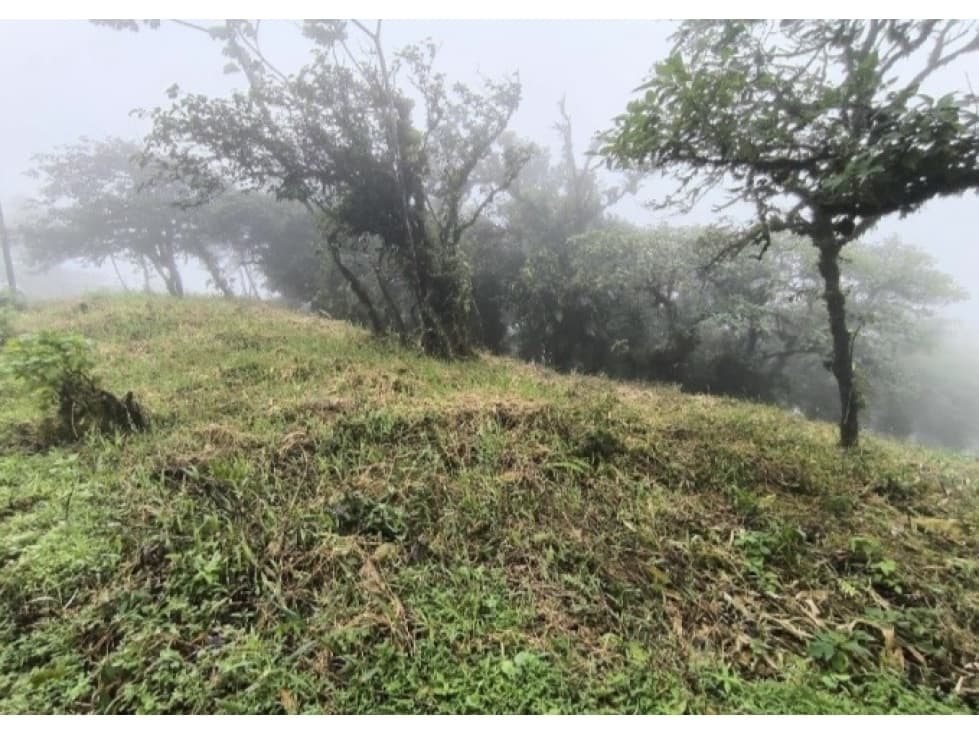 Lote en venta en Bosques de Galicia, Altos de María — foto 2