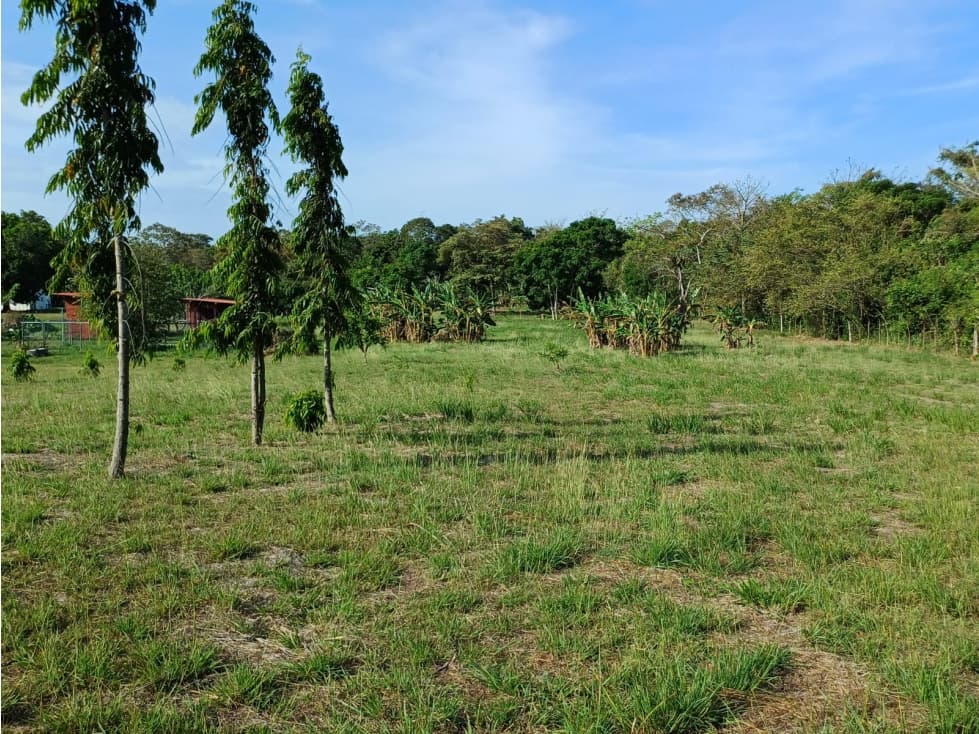 Terreno de campo en venta en Las Uvas, San Carlos — foto 2