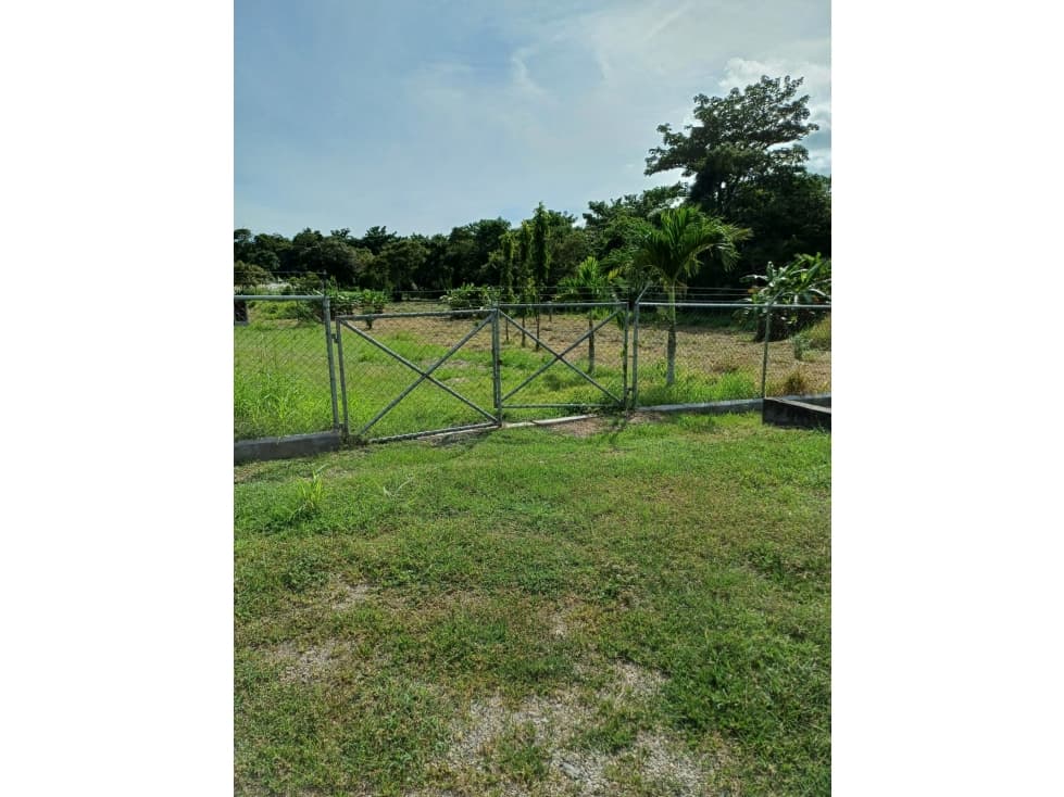 Terreno de campo en venta en Las Uvas, San Carlos — foto 5