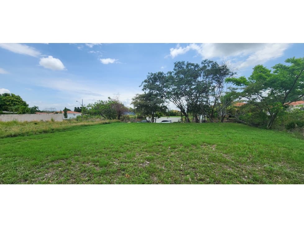 TERRENO EN VENTA EN CORONADO 800 M² — foto 1