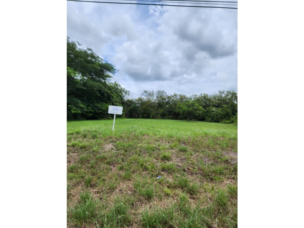 VENDO TERRENO EN CORONADO AVE. BOULEVARD — foto 3
