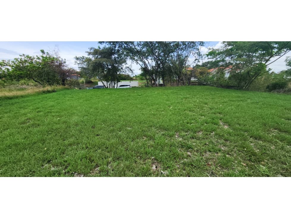 TERRENO EN VENTA EN CORONADO 800 M² — foto 2