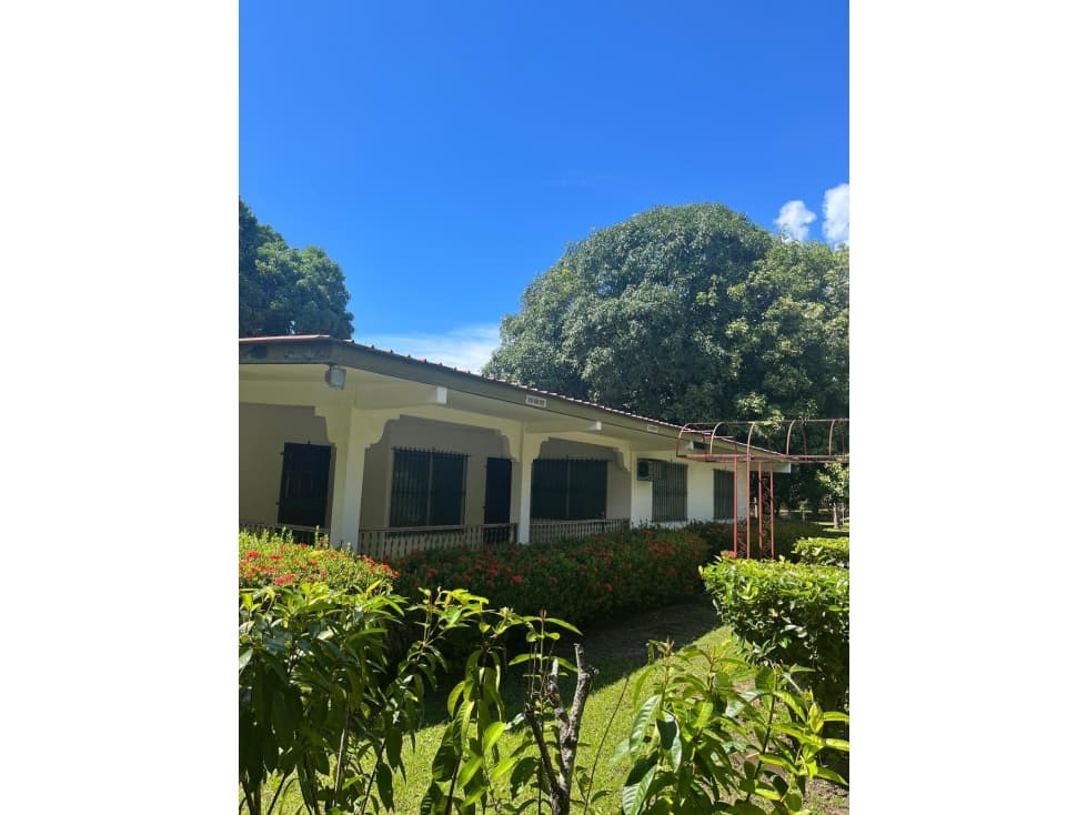 CASA EN VENTA EN CORONADO AMPLIO TERRENO EN ESQUINA — foto 5