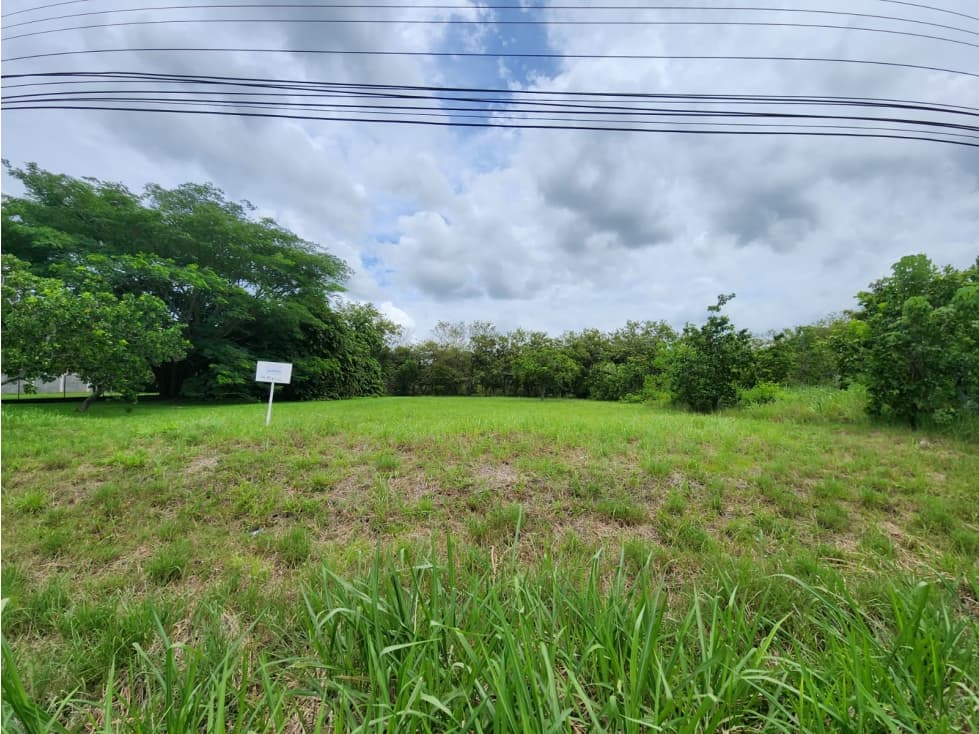 VENDO TERRENO EN CORONADO AVE. BOULEVARD — foto 1
