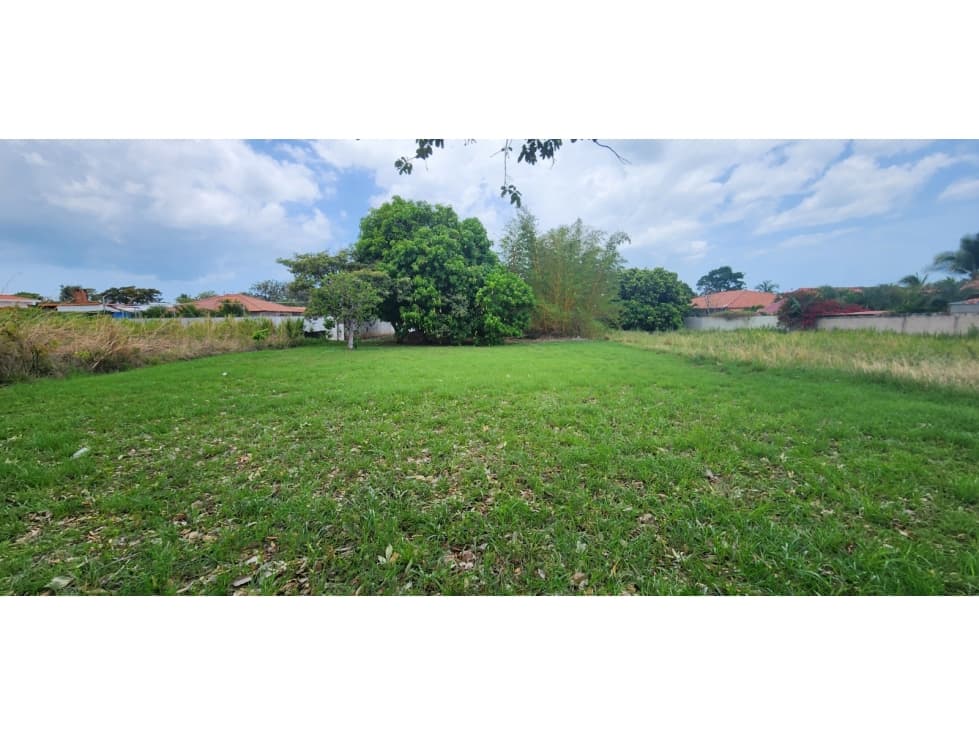 TERRENO EN VENTA EN CORONADO 800 M² — foto 4
