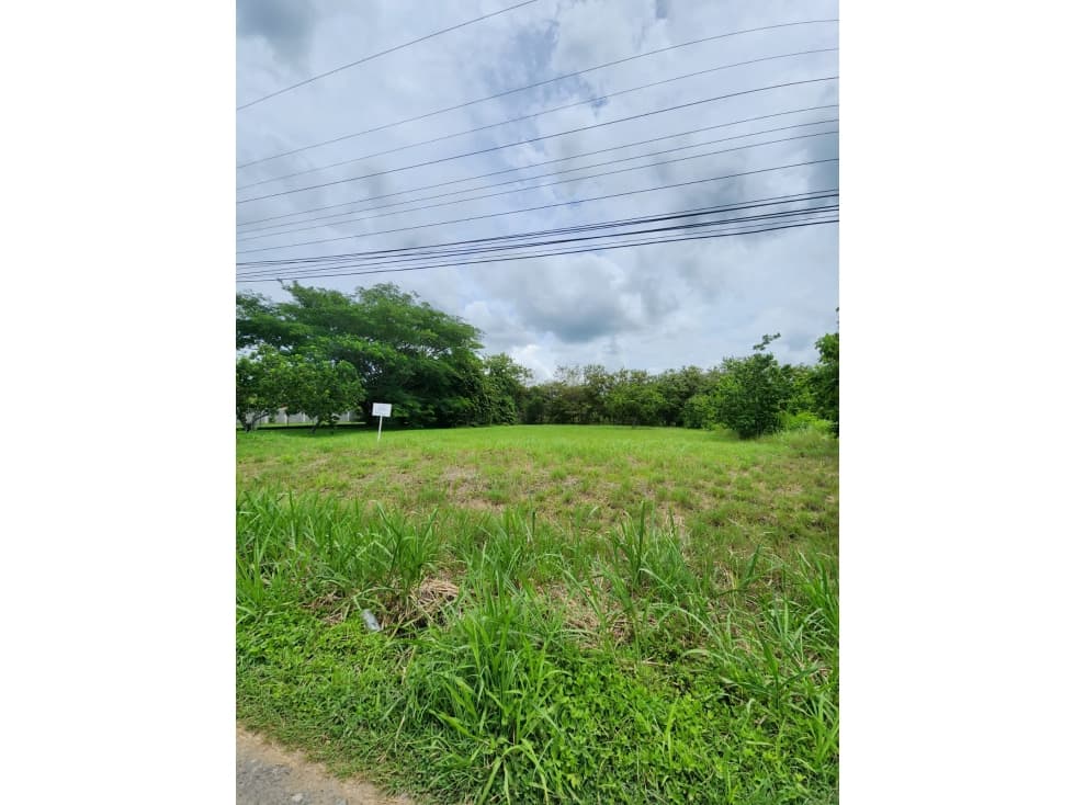 VENDO TERRENO EN CORONADO AVE. BOULEVARD — foto 4