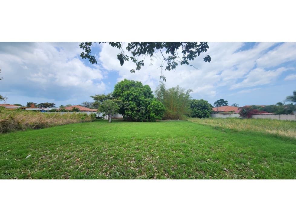 TERRENO EN VENTA EN CORONADO 800 M² — foto 5