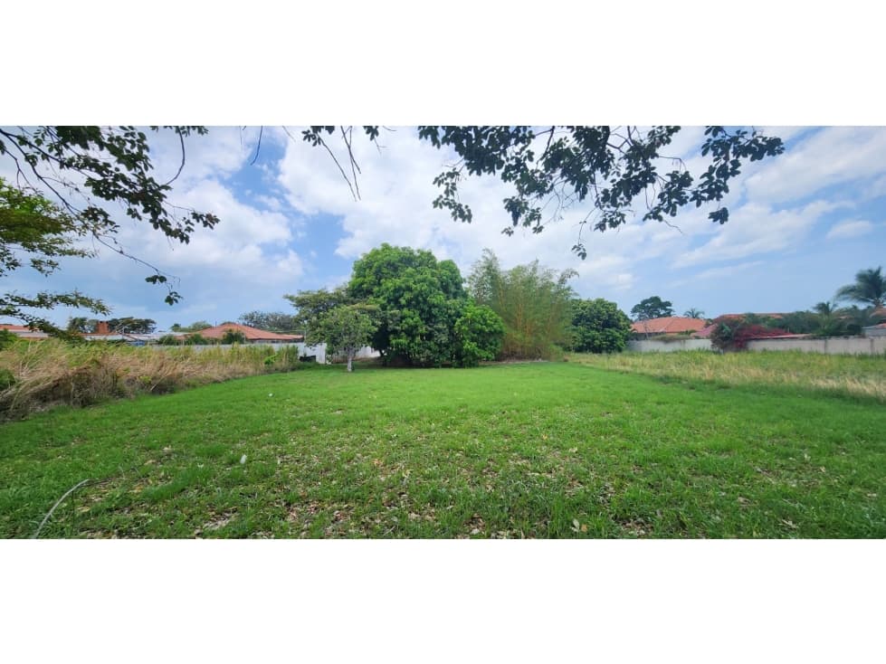 TERRENO EN VENTA EN CORONADO 800 M² — foto 6