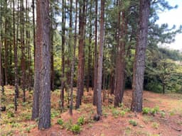 Lote en Venta Valle de la Toscana, Altos del María