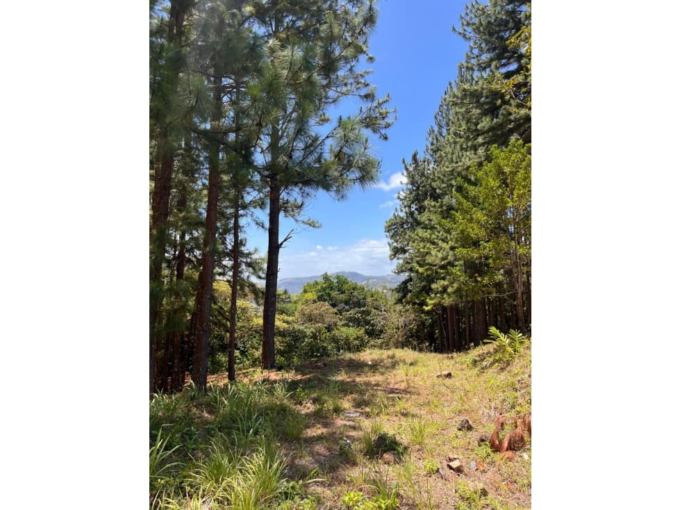 Lote en Venta Valle de la Toscana, Altos del María — foto 4