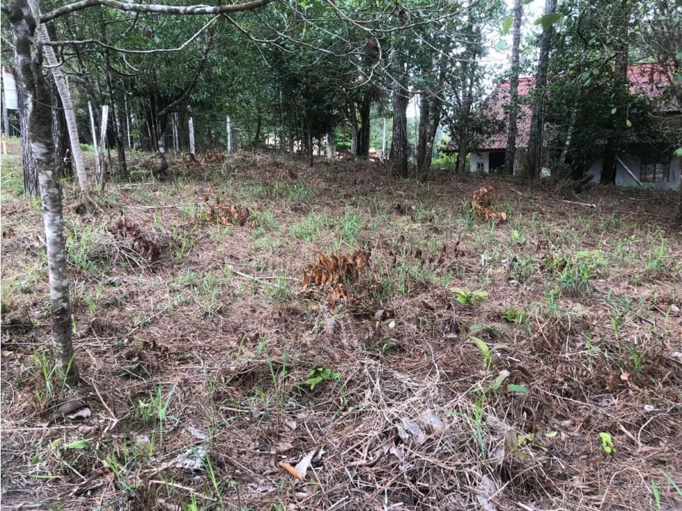 VENTA DE LOTE - TERRENO CERRO AZUL — foto 4