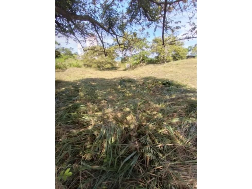 SE VENDE TERRENO EN SAN CARLOS — foto 5